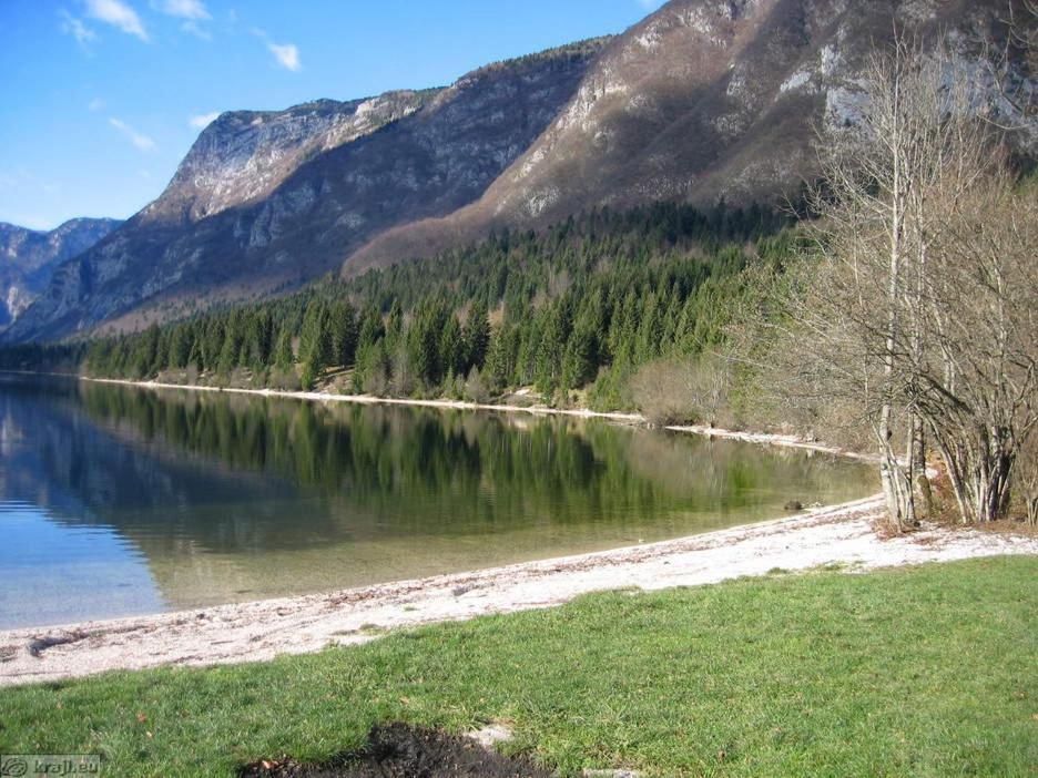 Boutique House Vresje Villa Bohinjska Bistrica Ngoại thất bức ảnh
